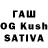 APVP VHQ Azat Nagipov