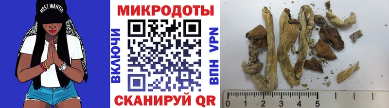 Псилоцибиновые грибы Psilocybe мега зеркало Темрюк