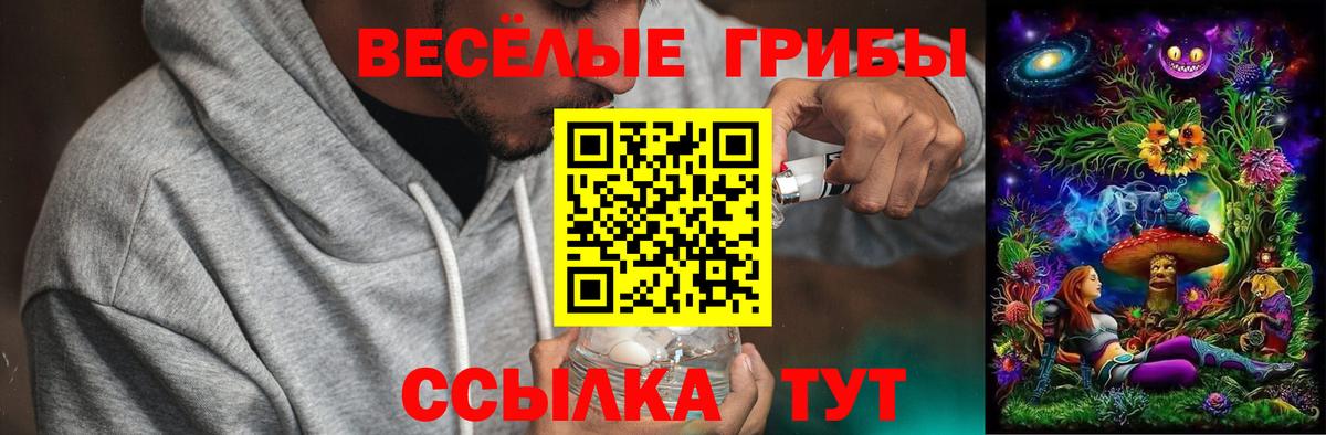 Галлюциногенные грибы Psilocybe Темрюк
