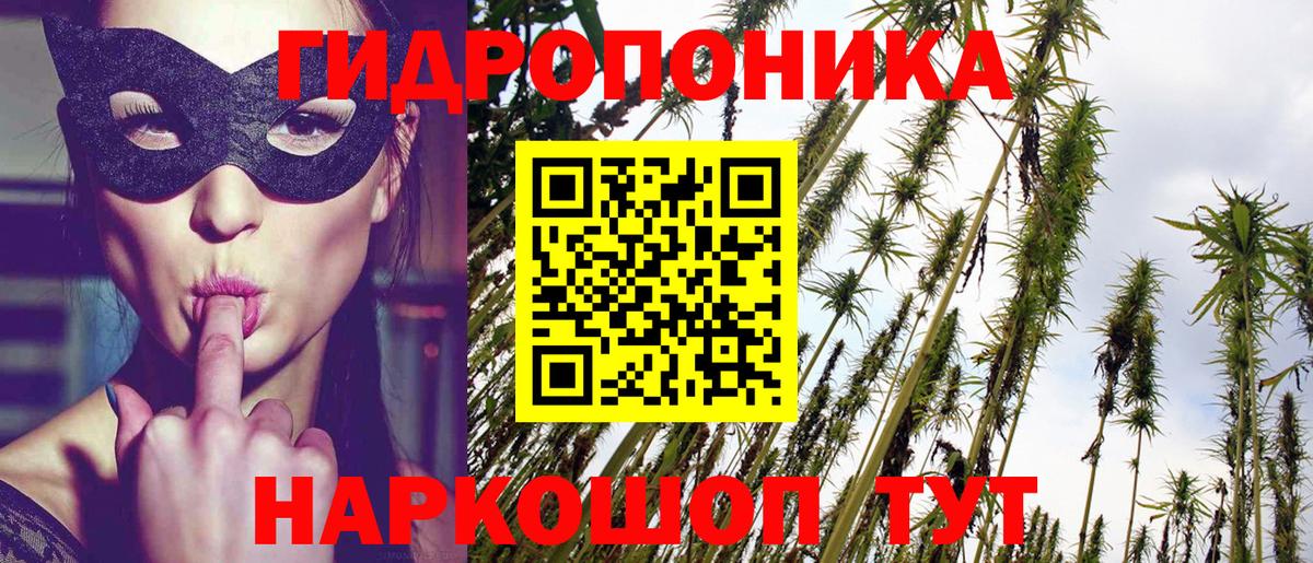 Каннабис конопля Темрюк
